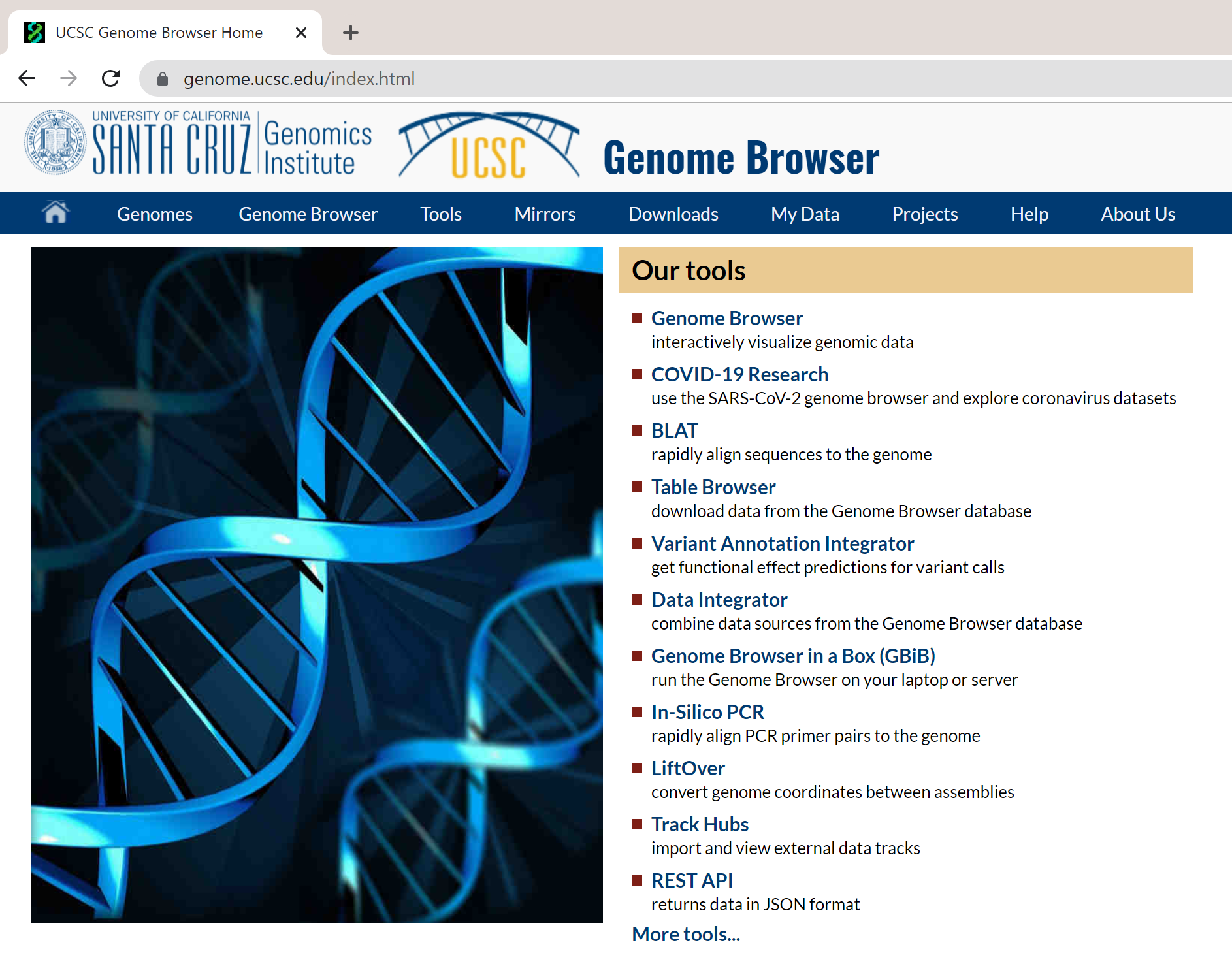 The Genome Browser website