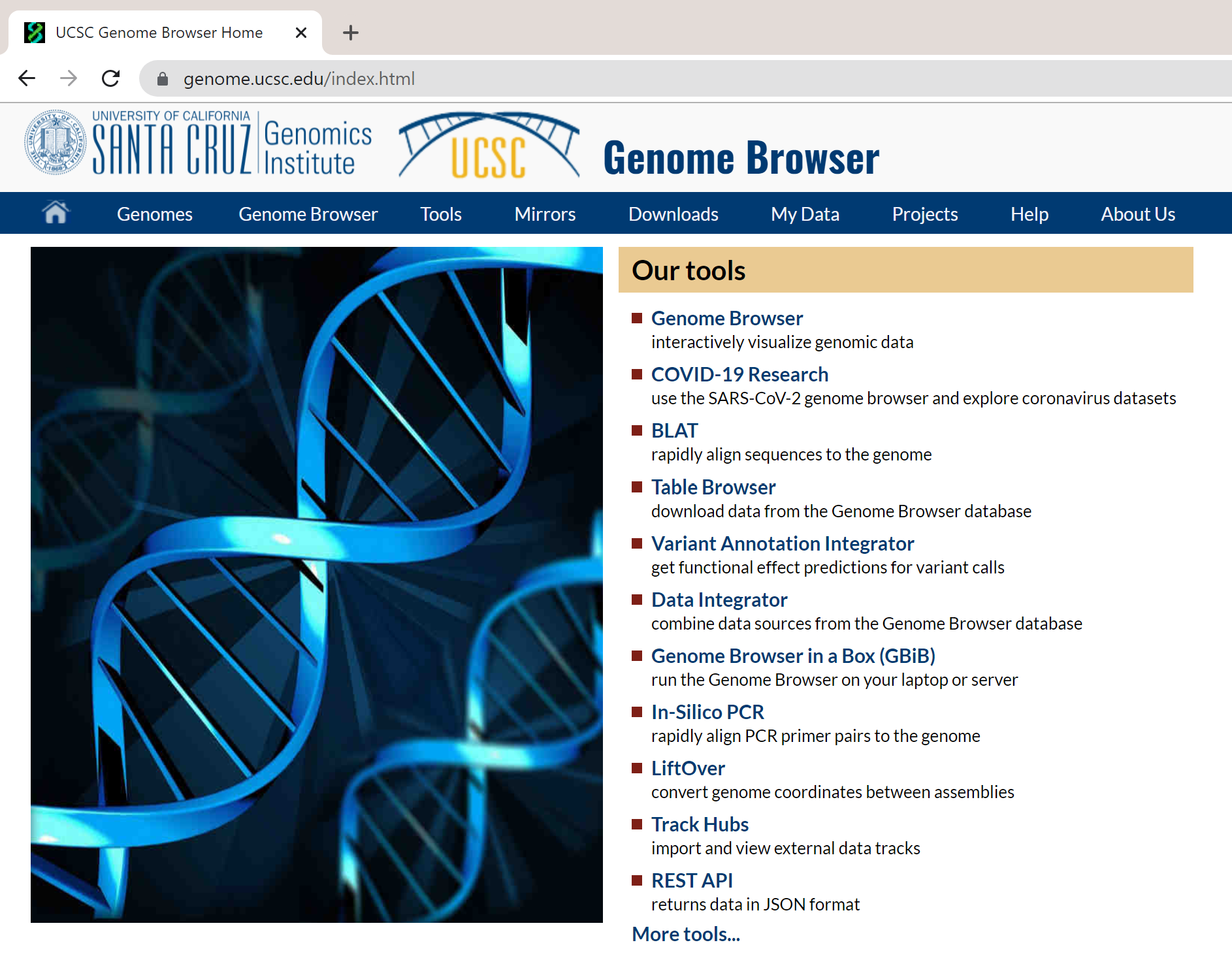 Genome browser